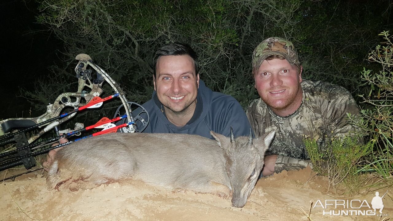 Bow Hunt Blue Duiker South Africa