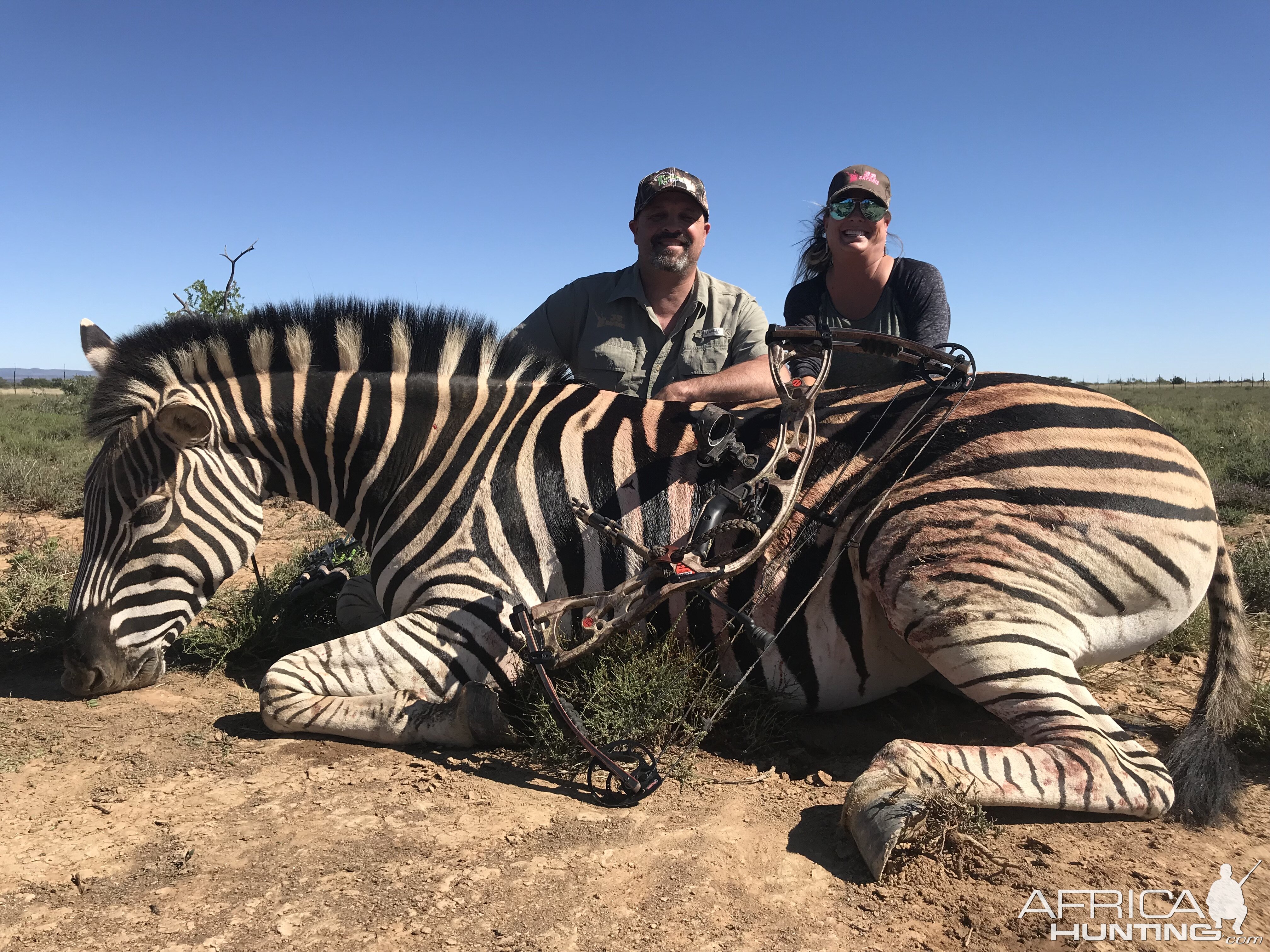 Bow Hunt Burchell's Plain Zebra in South Africa