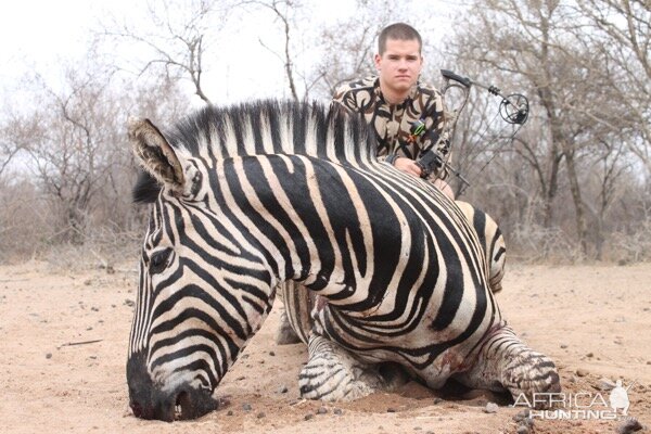 Bow Hunt Burchell's Plain Zebra in South Africa