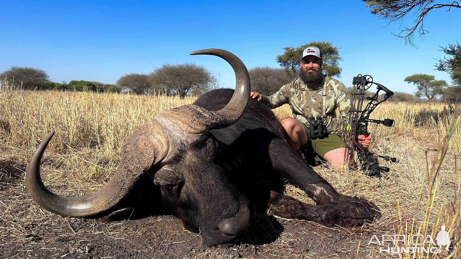 Bow Hunt Cape Buffalo South Africa