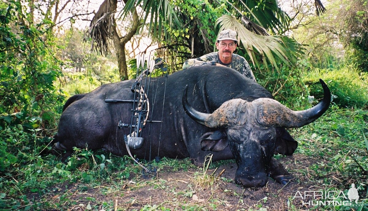 Bow Hunt Cape Buffalo