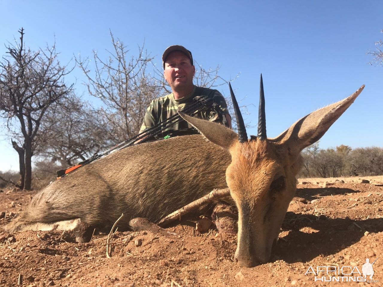 Bow Hunt Duiker in South Africa