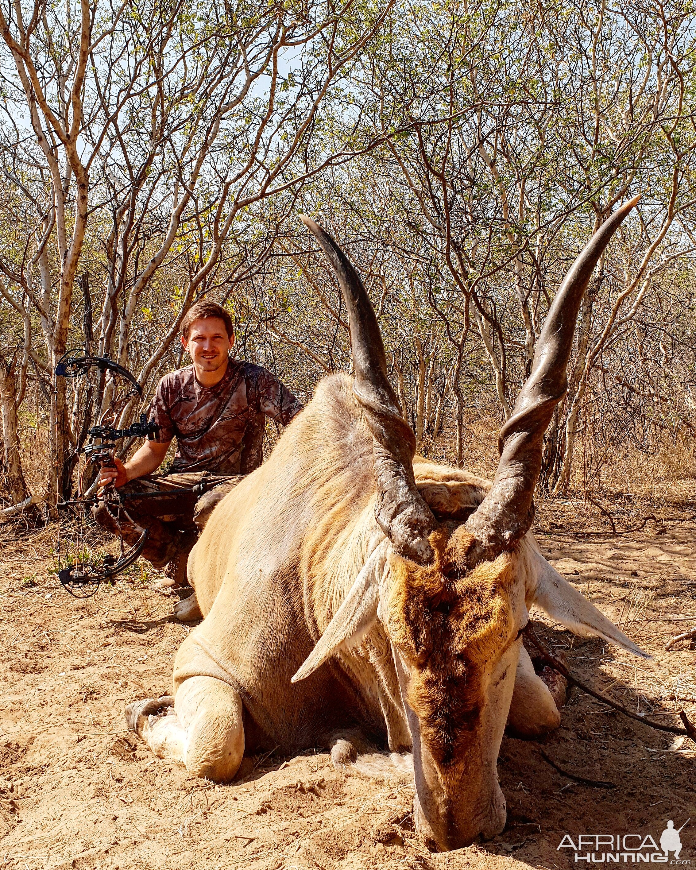 Bow Hunt Eland in Botswana