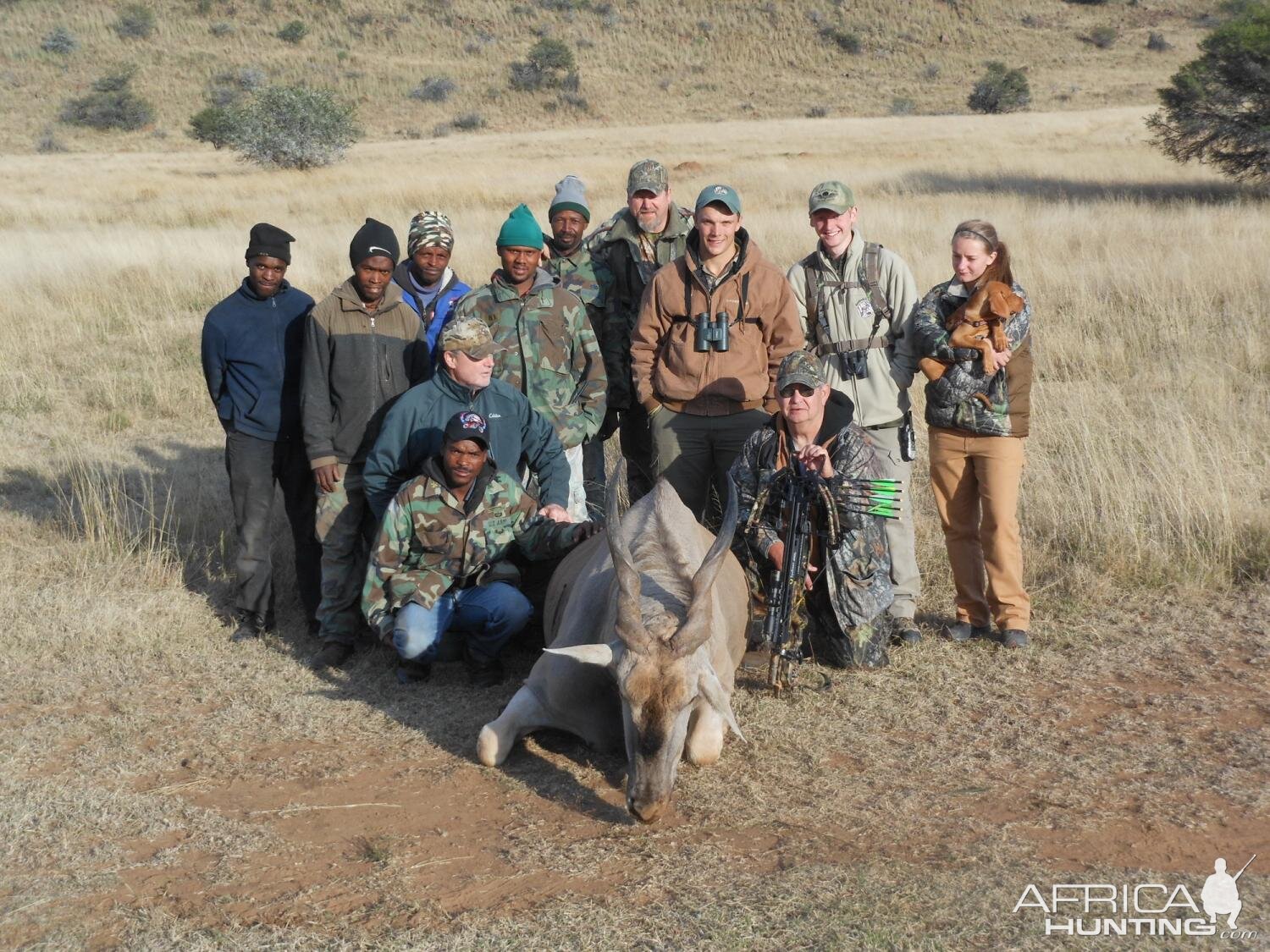 Bow Hunt Eland in South Africa