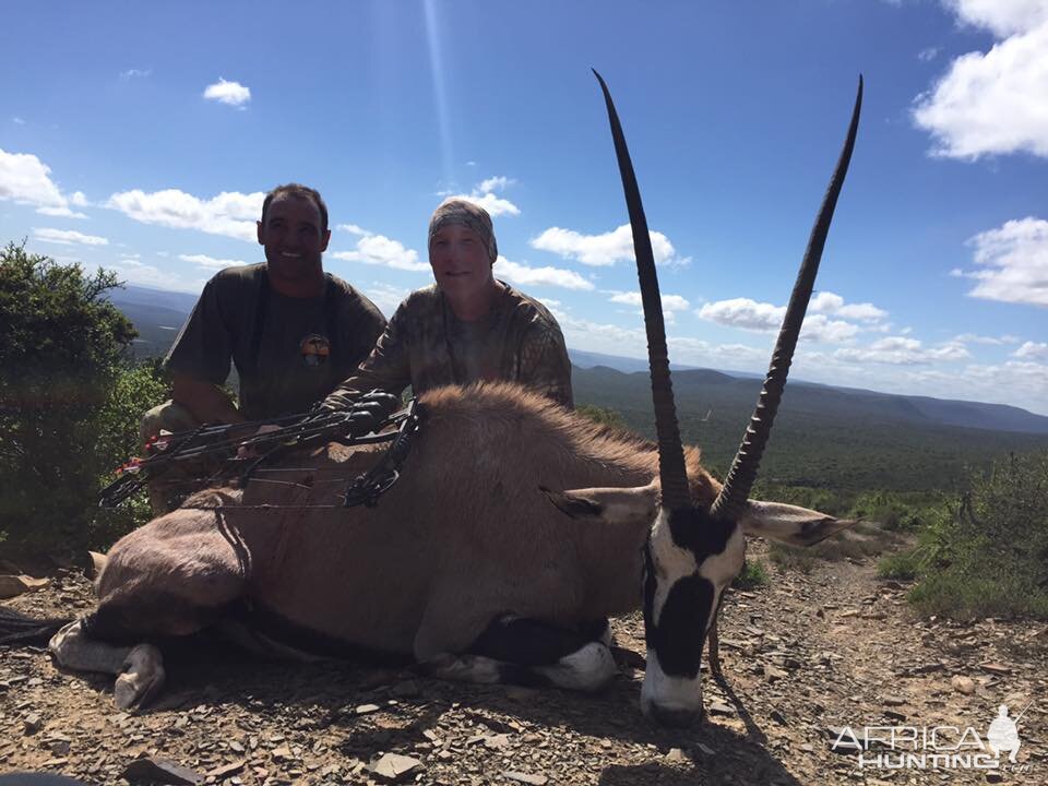 Bow Hunt Gemsbok South Africa