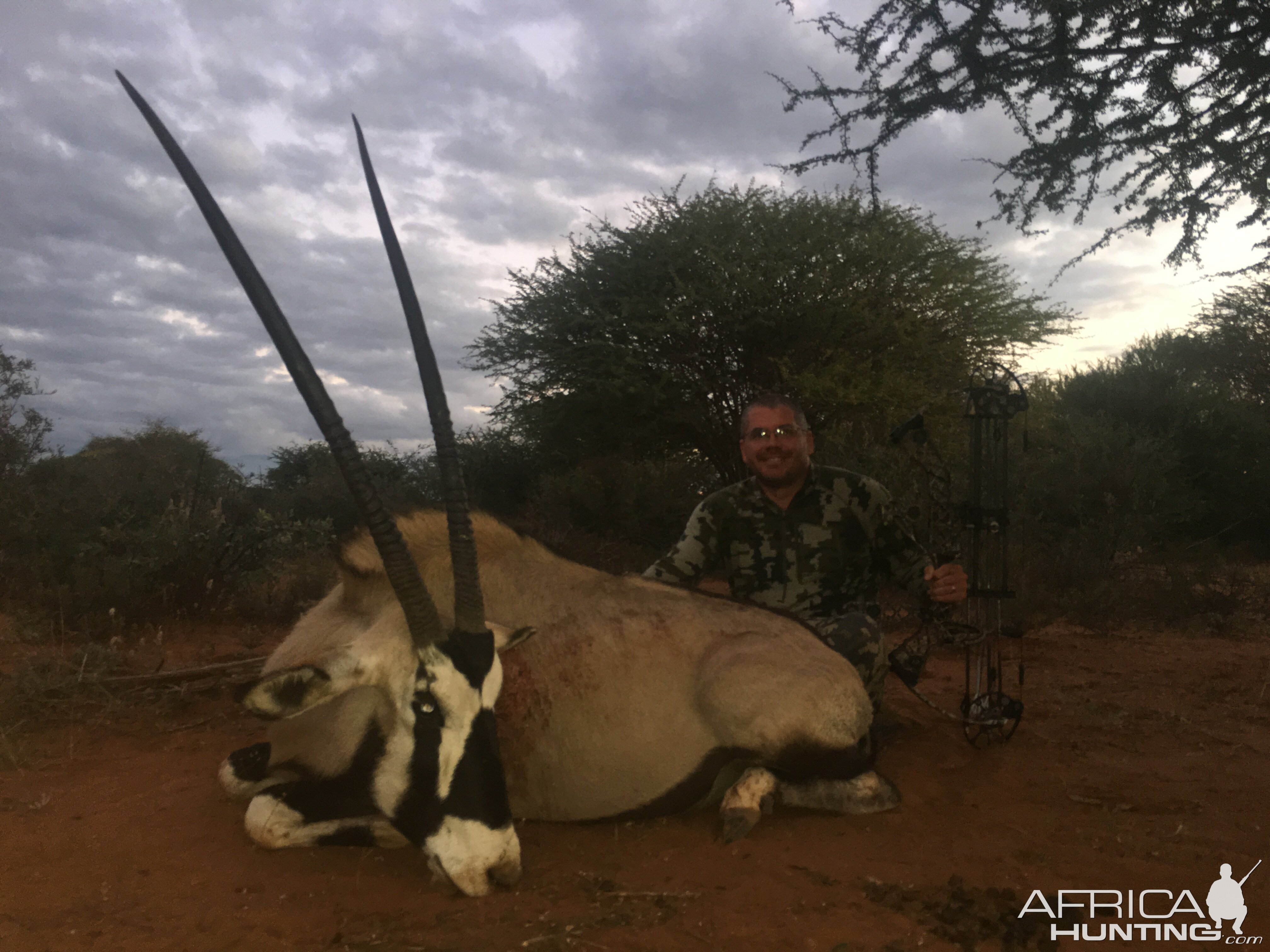 Bow Hunt Gemsbok South Africa