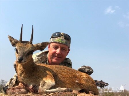 Bow Hunt Klipspringer in South Africa