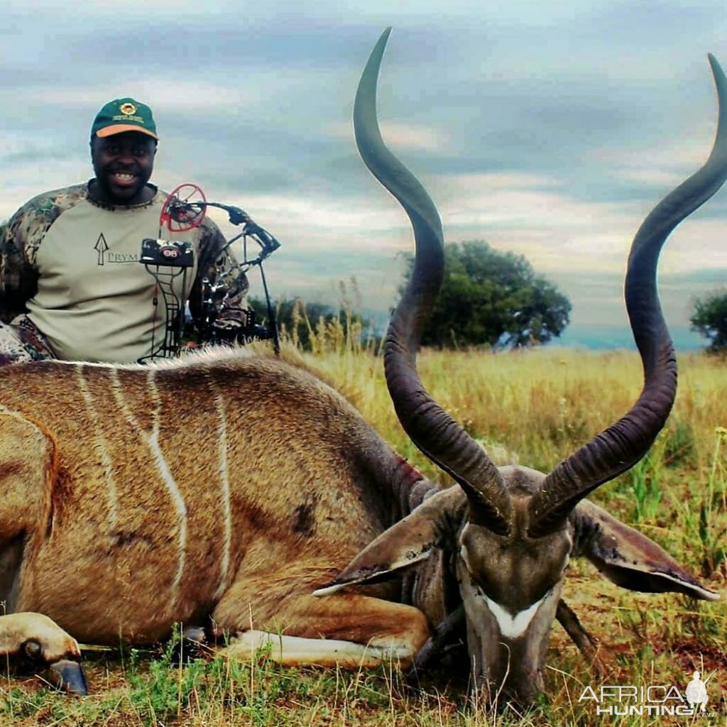 Bow Hunt Kudu in South Africa