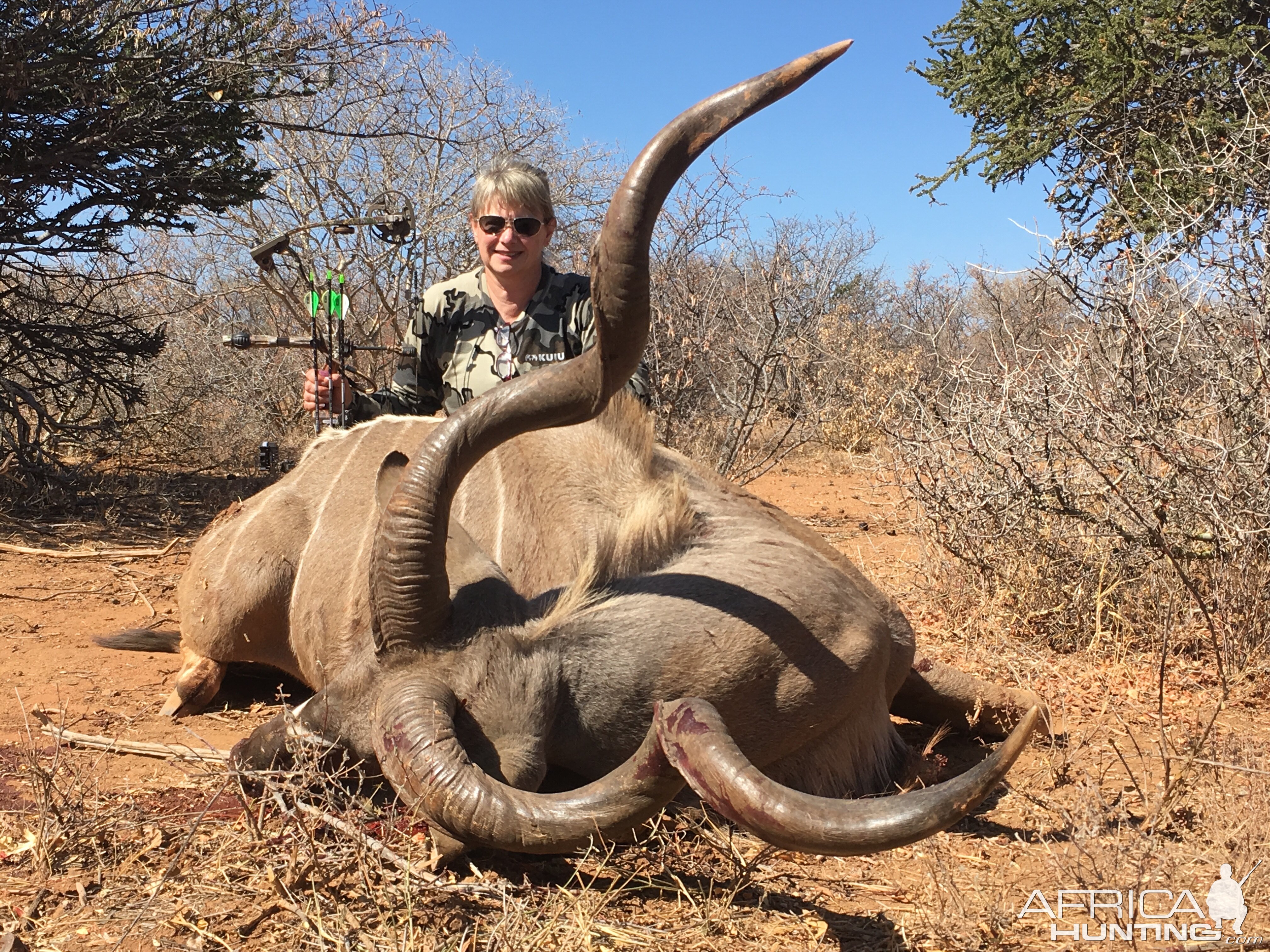 Bow Hunt Kudu in South Africa