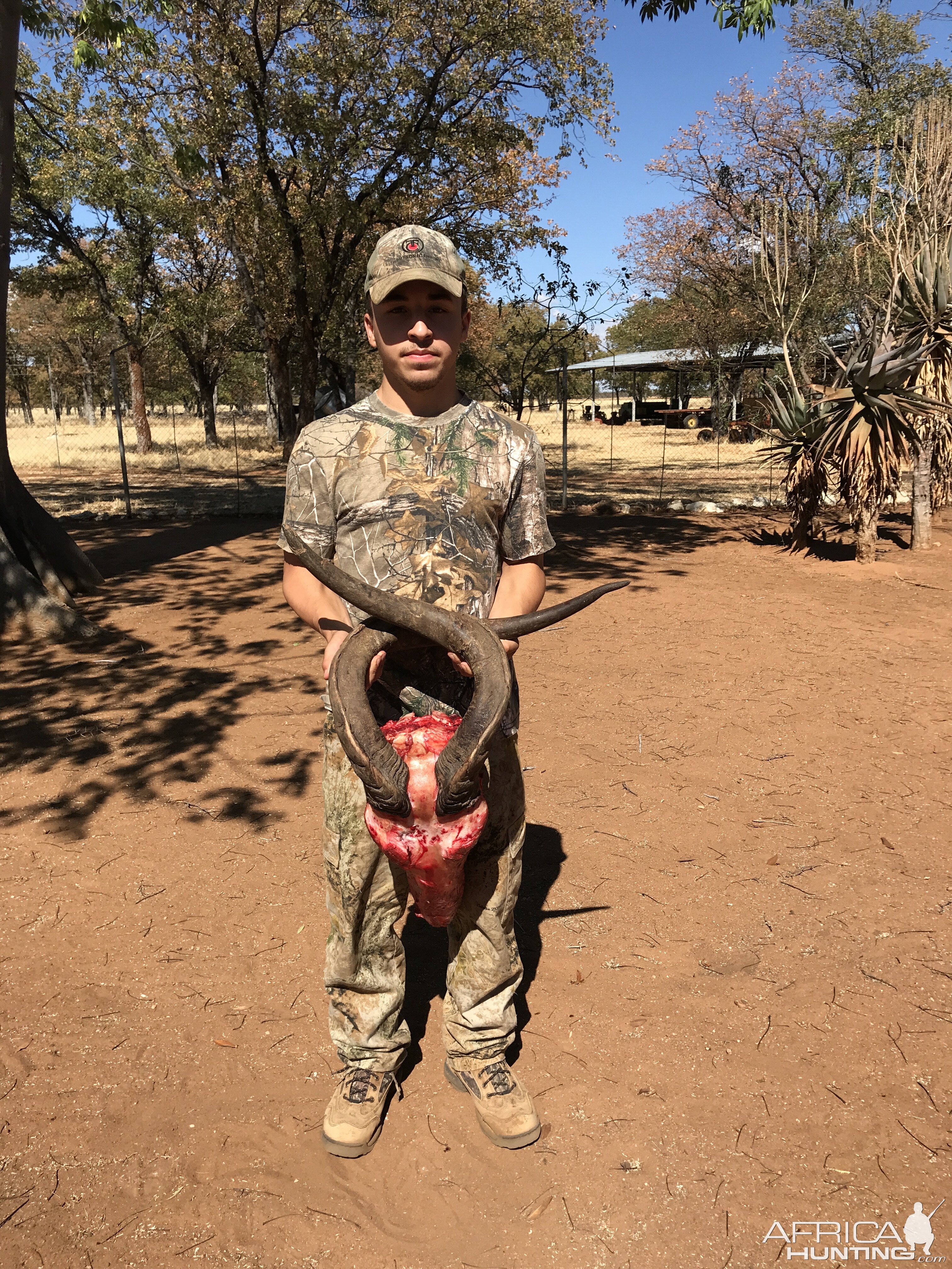 Bow Hunt Livingstone Eland in Namibia