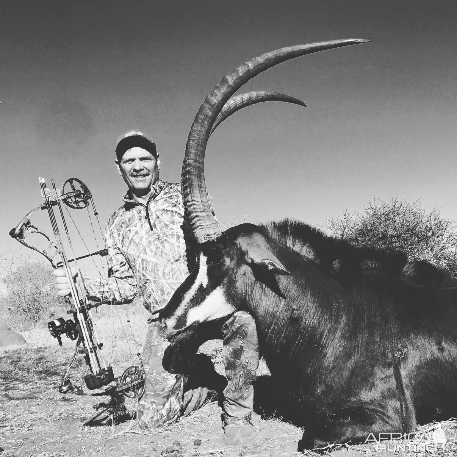 Bow Hunt Sable Antelope in South Africa