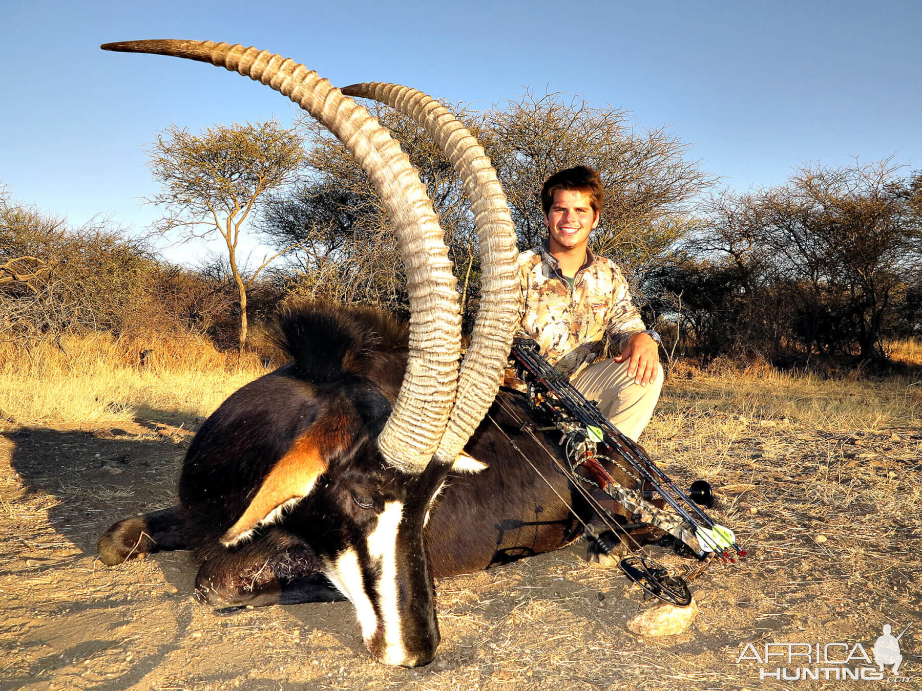 Bow Hunt Sable Antelope in South Africa