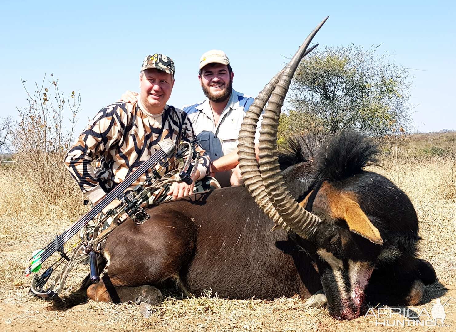 Bow Hunt Sable Antelope South Africa