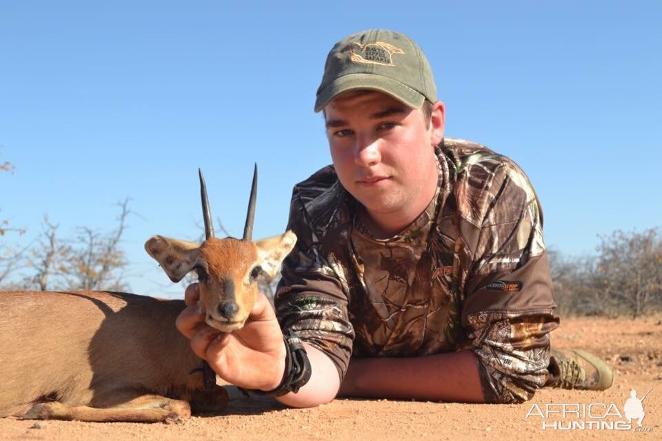 Bow Hunt Steenbok in South Africa