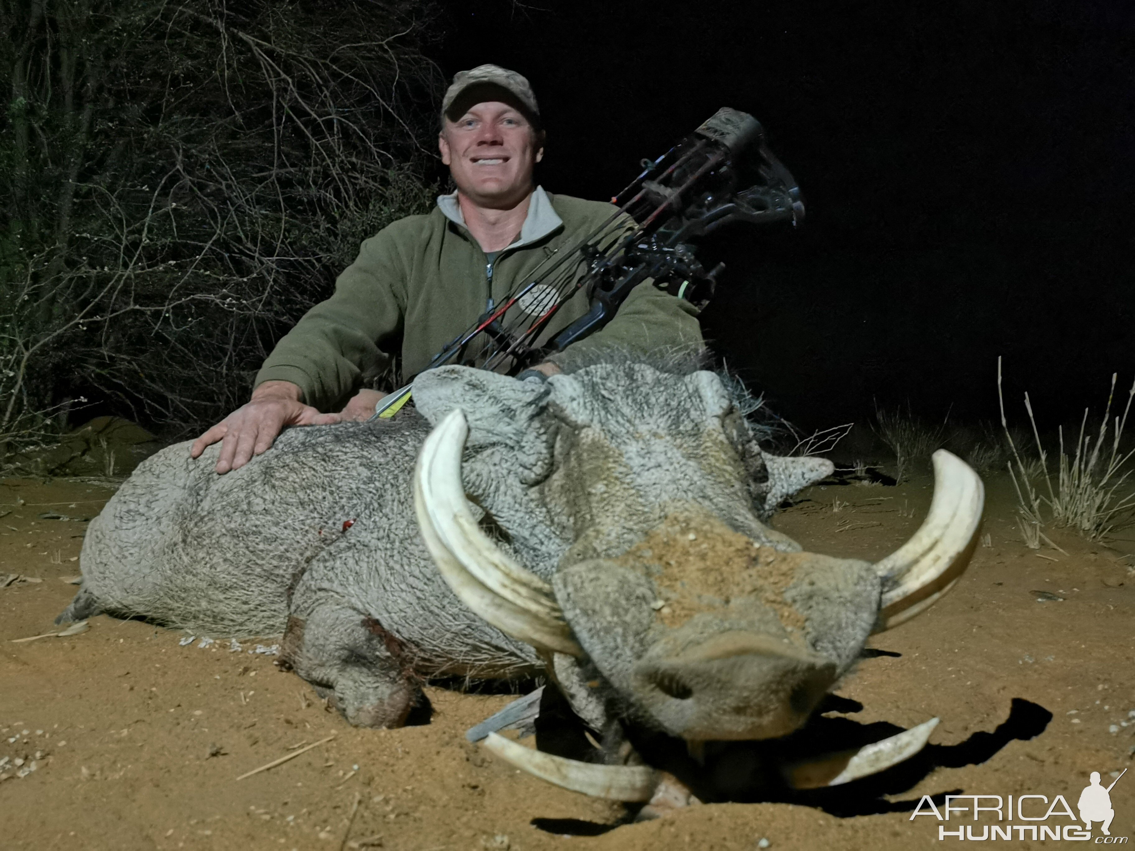 Bow Hunt Warthog in Namibia