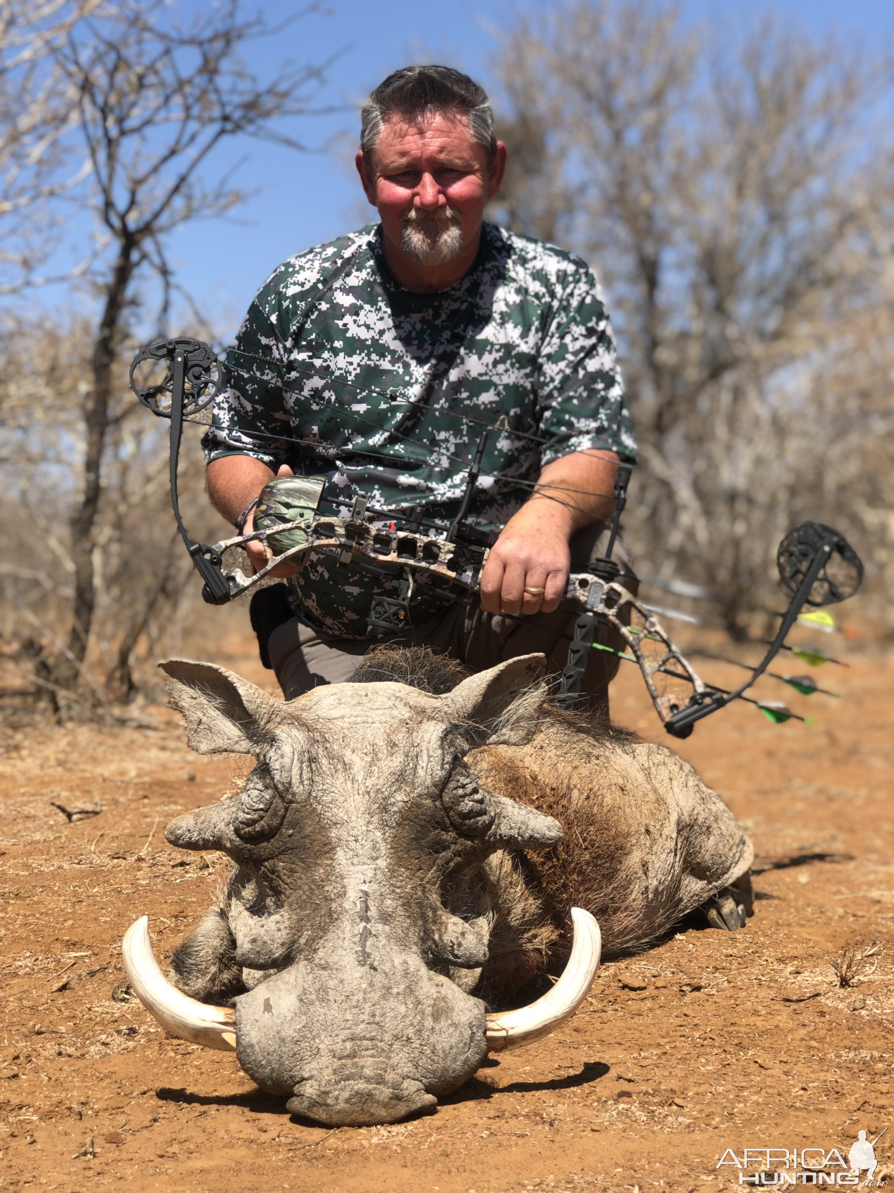 Bow Hunt Warthog in South Africa