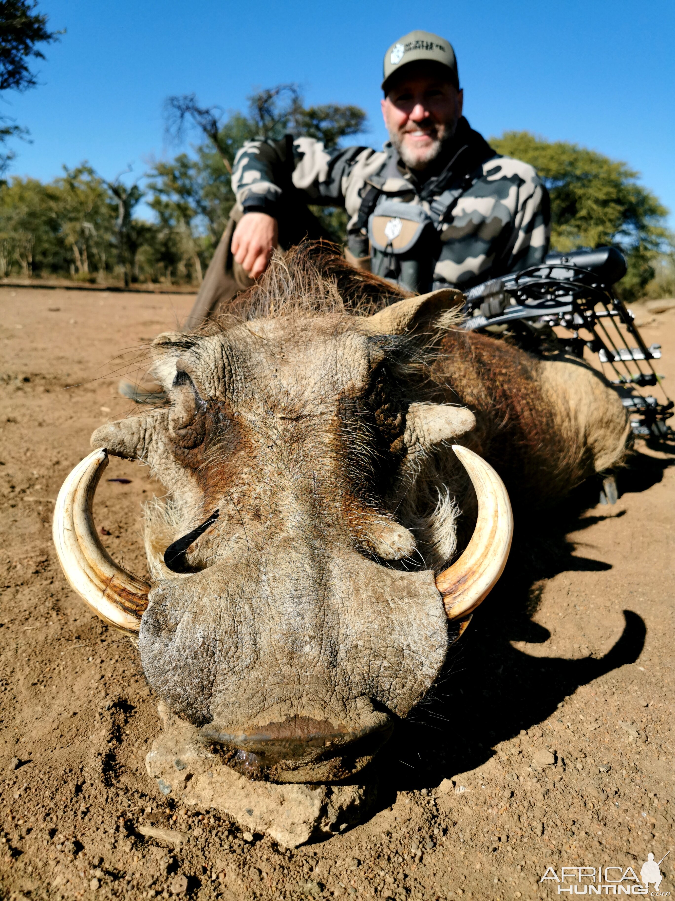 Bow Hunt Warthog in South Africa