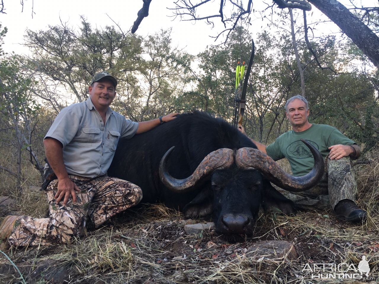 Bow Hunting 44" Inch Cape Buffalo in South Africa