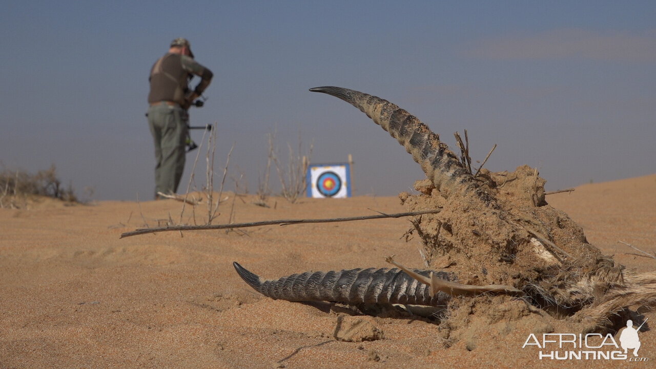 Bow Hunting Arabian Oryx in United Arab Emirates