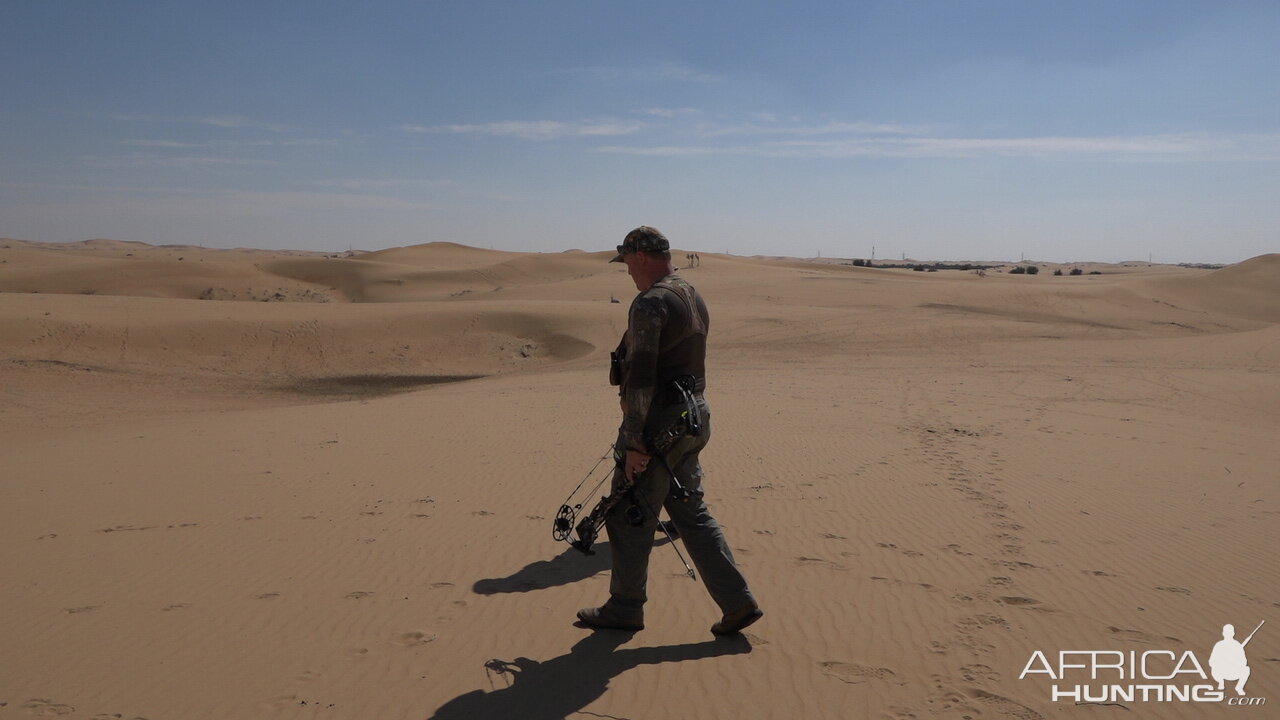 Bow Hunting Arabian Oryx in United Arab Emirates