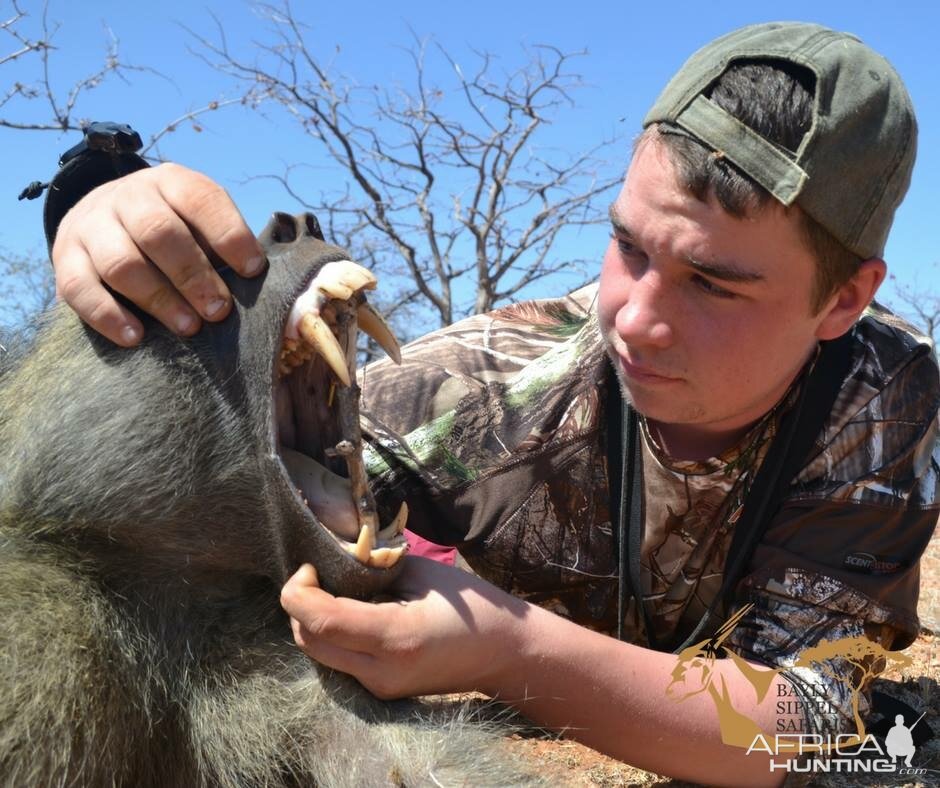 Bow Hunting Baboon in South Africa