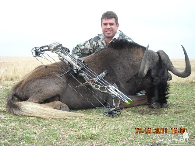 Bow Hunting Black Wildebeest