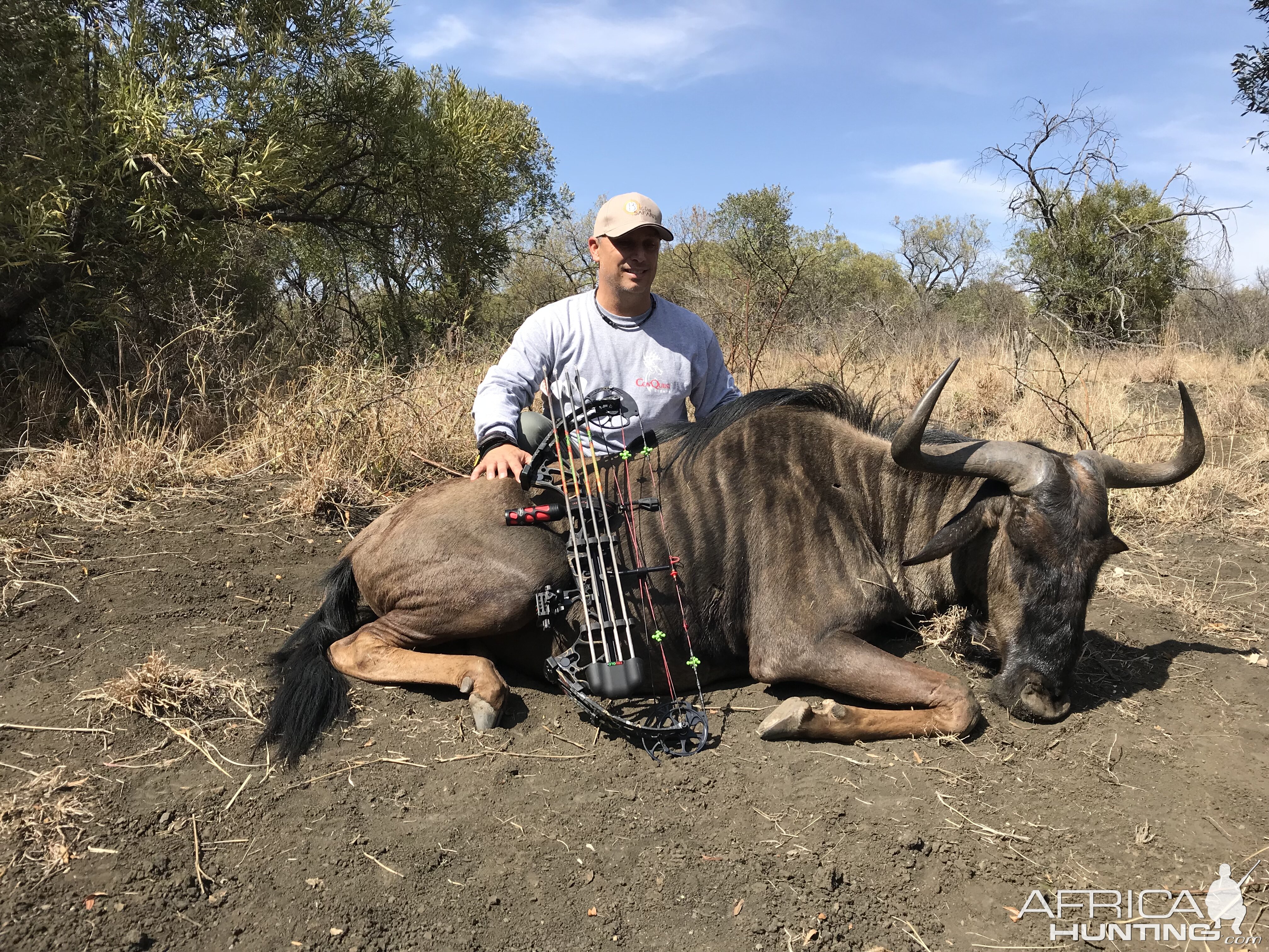 Bow Hunting Blue Wildebeest in South Africa