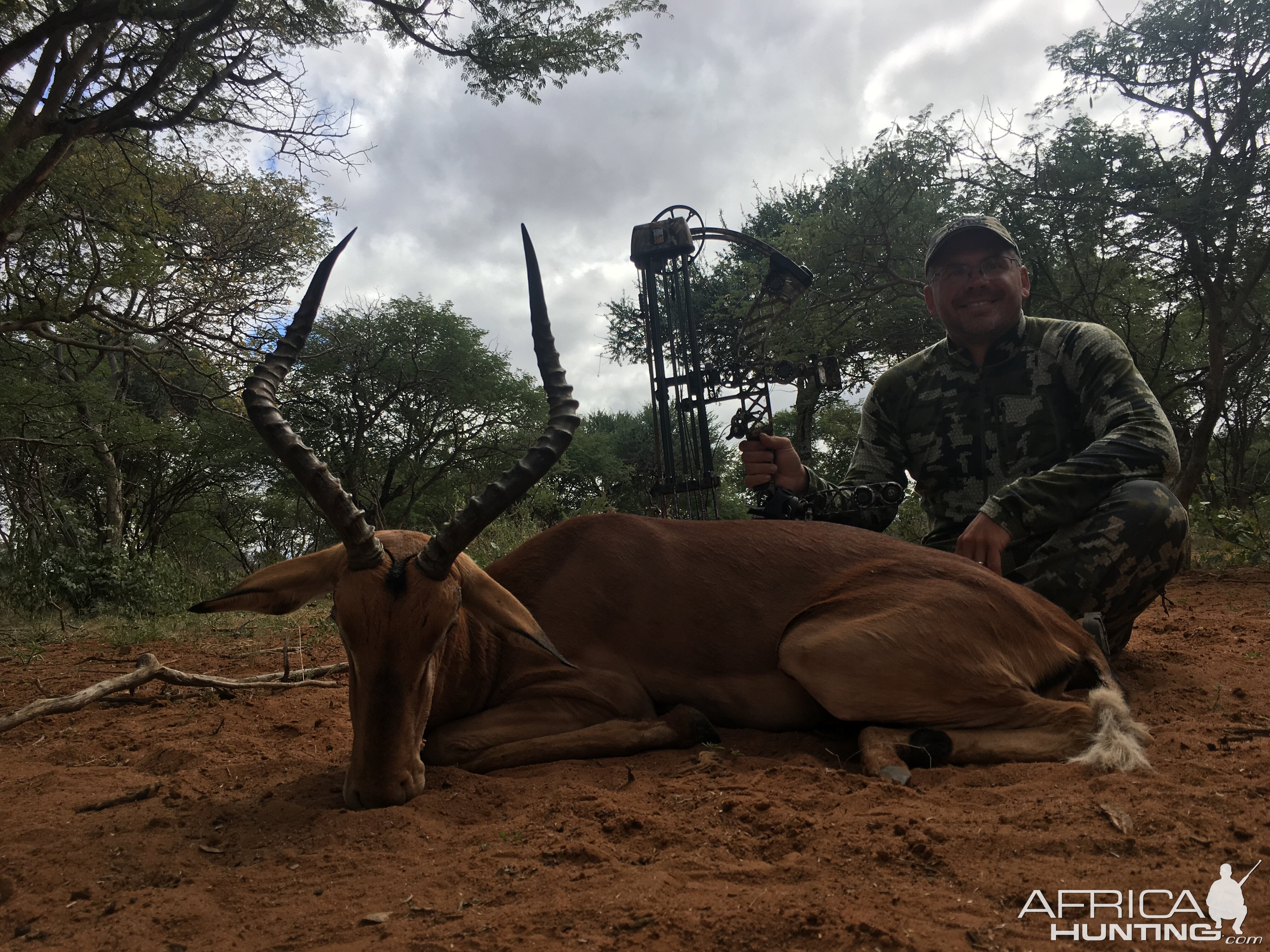 Bow Hunting Blue Wildebeest South Africa