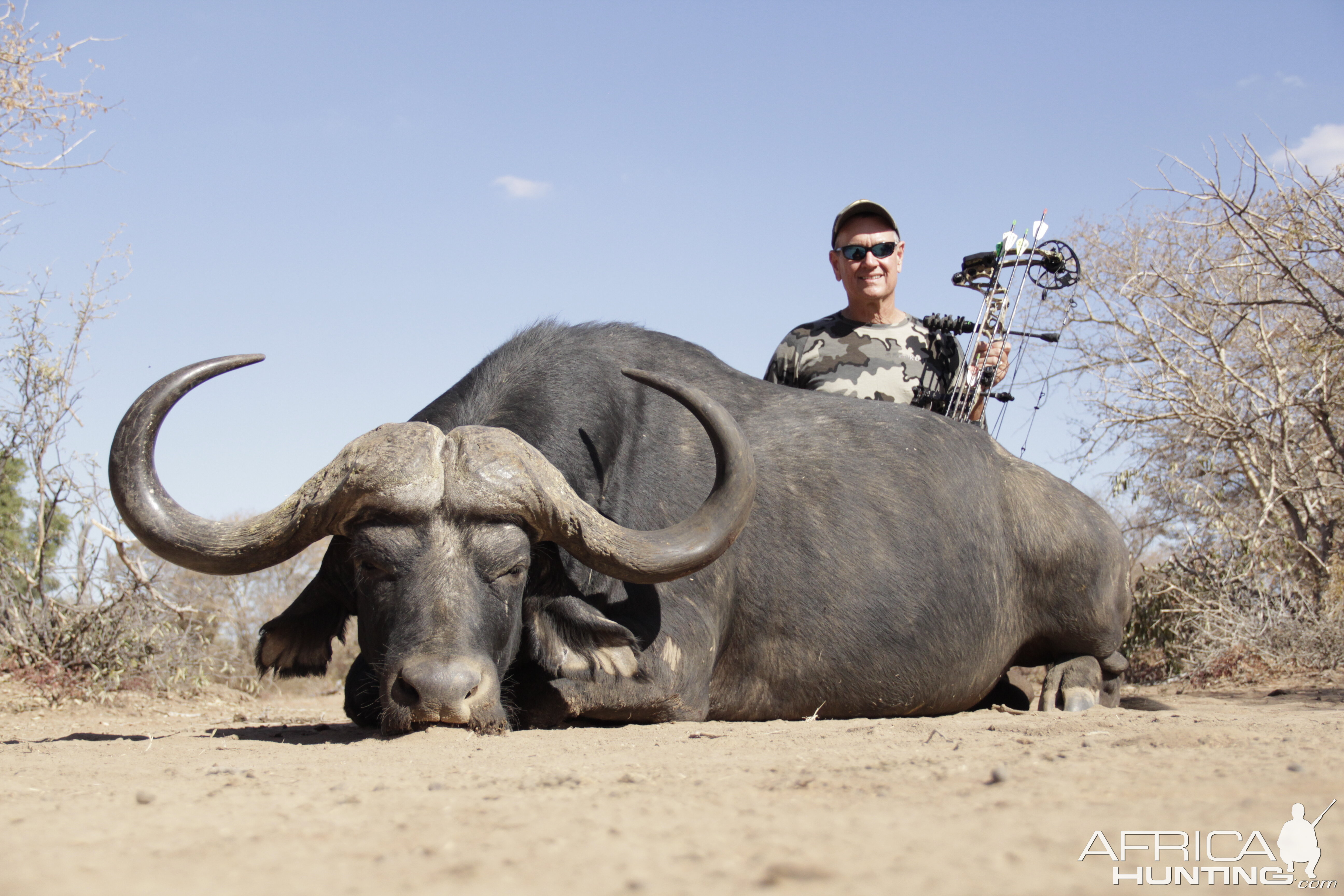 Bow Hunting Buffalo South Africa