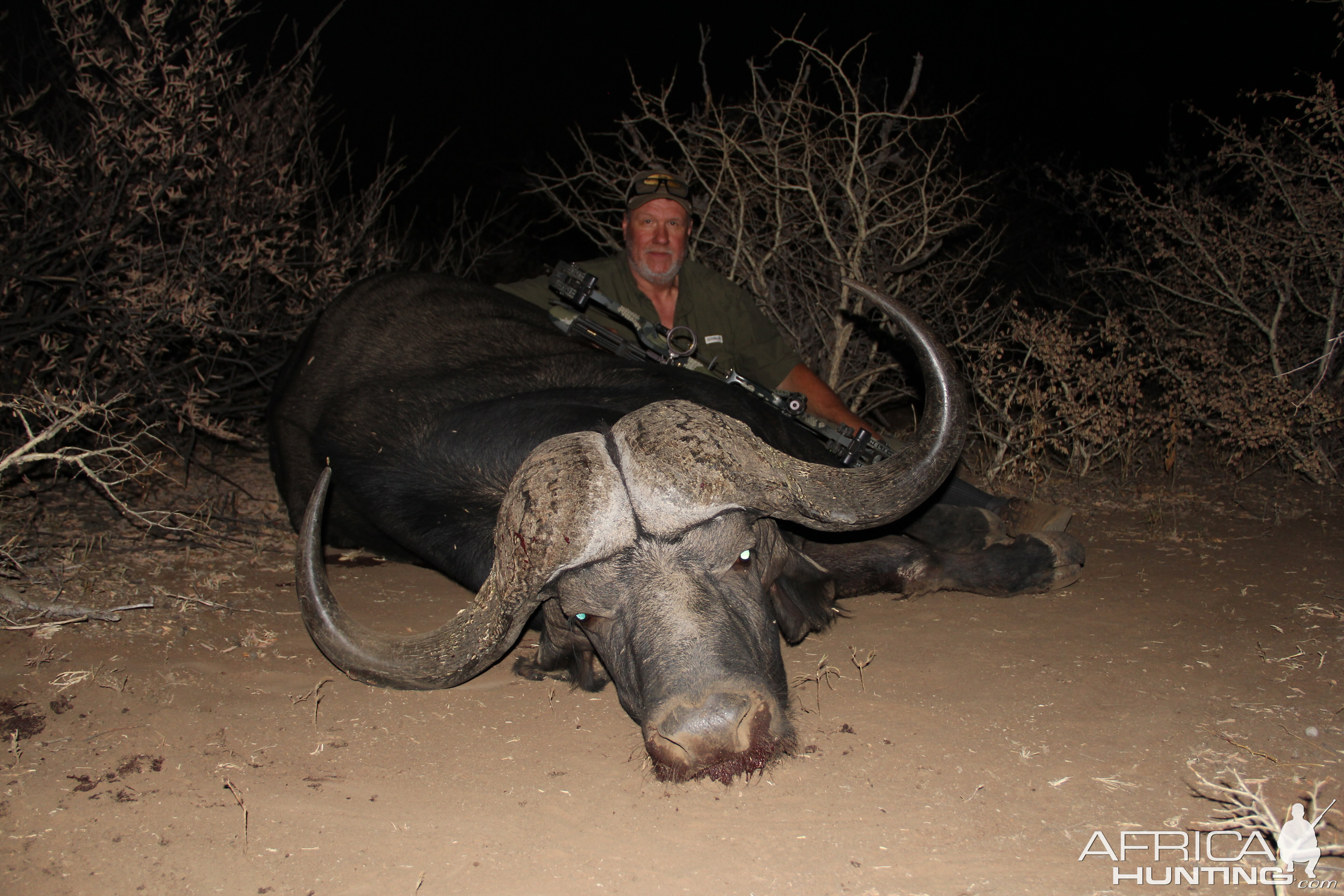 Bow Hunting Buffalo South Africa