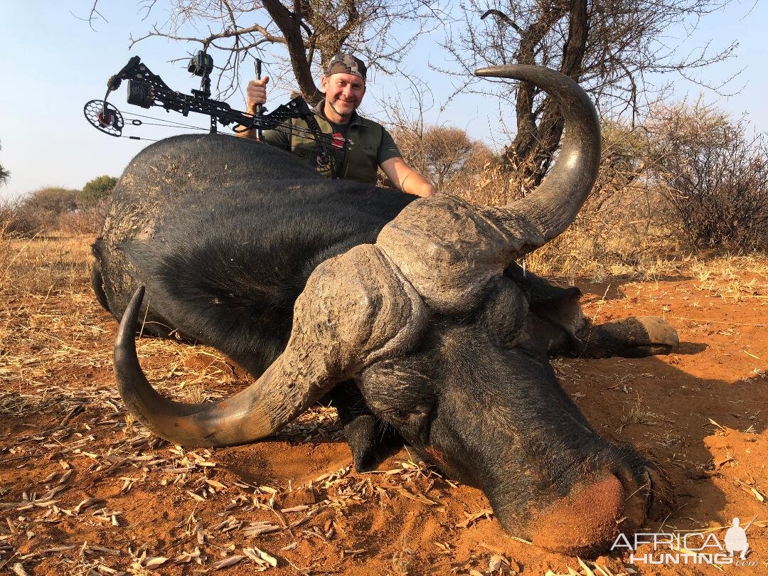 Bow Hunting Buffalo South Africa