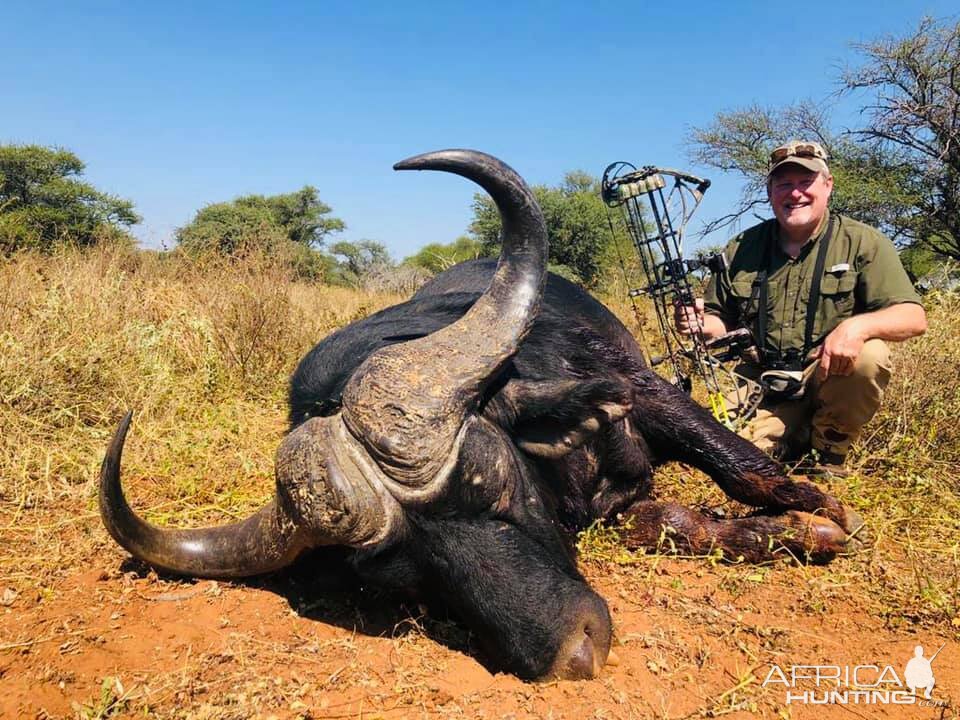 Bow Hunting Buffalo South Africa