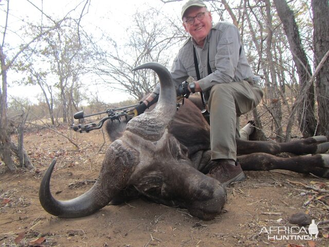 Bow Hunting Buffalo South Africa