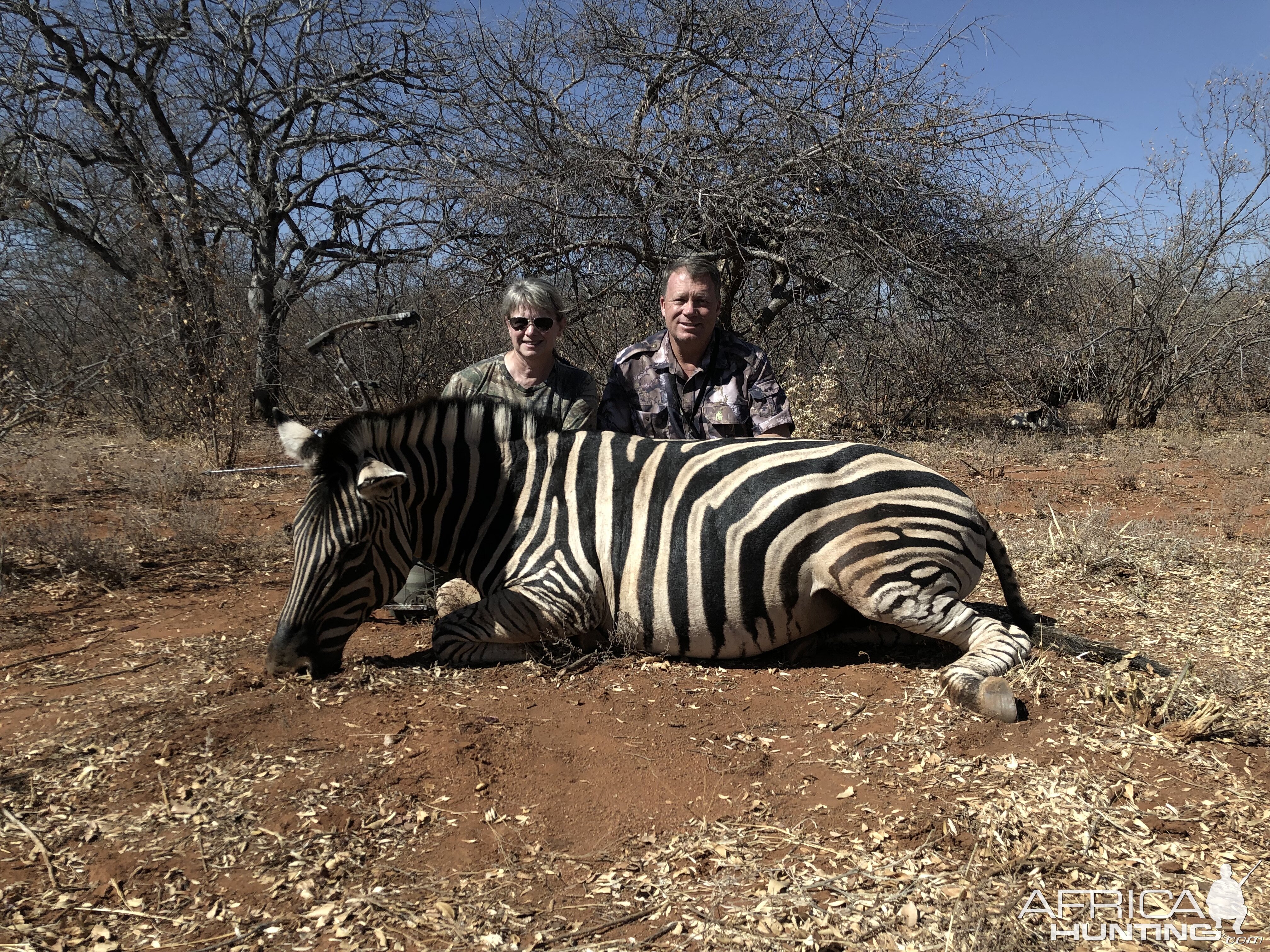 Bow Hunting Burchell's Plain Zebra in South Africa