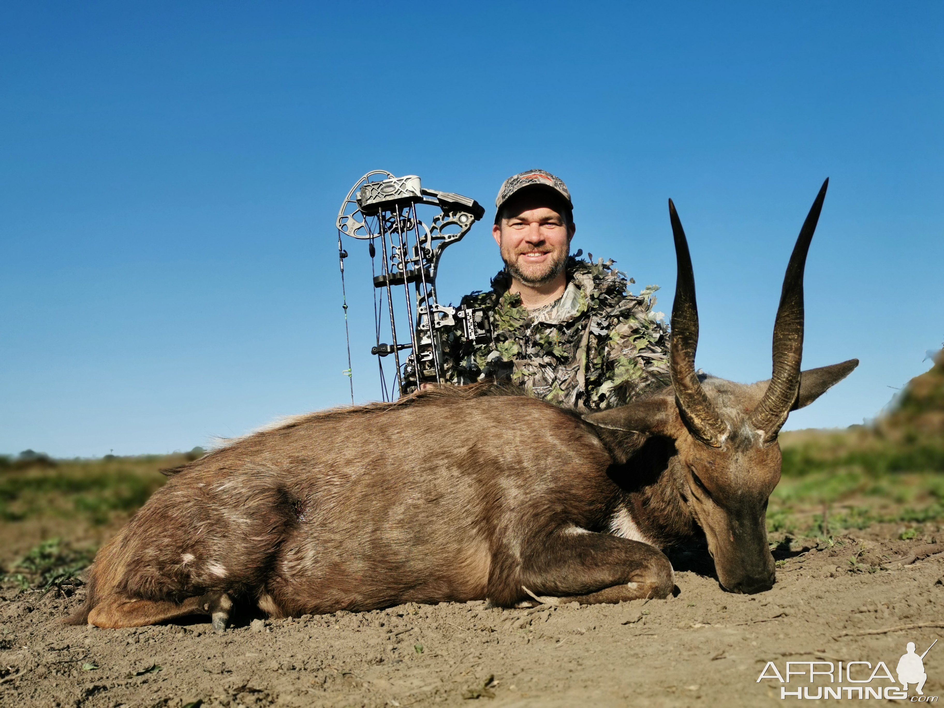 Bow Hunting Bushbuck Eastern Cape South Africa