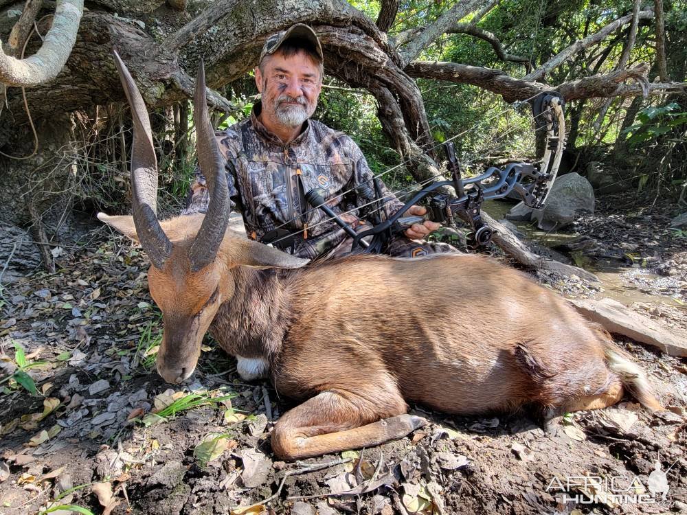 Bow Hunting Bushbuck Eastern Cape South Africa