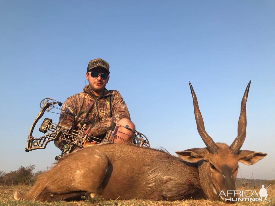 Bow Hunting Bushbuck in South Africa