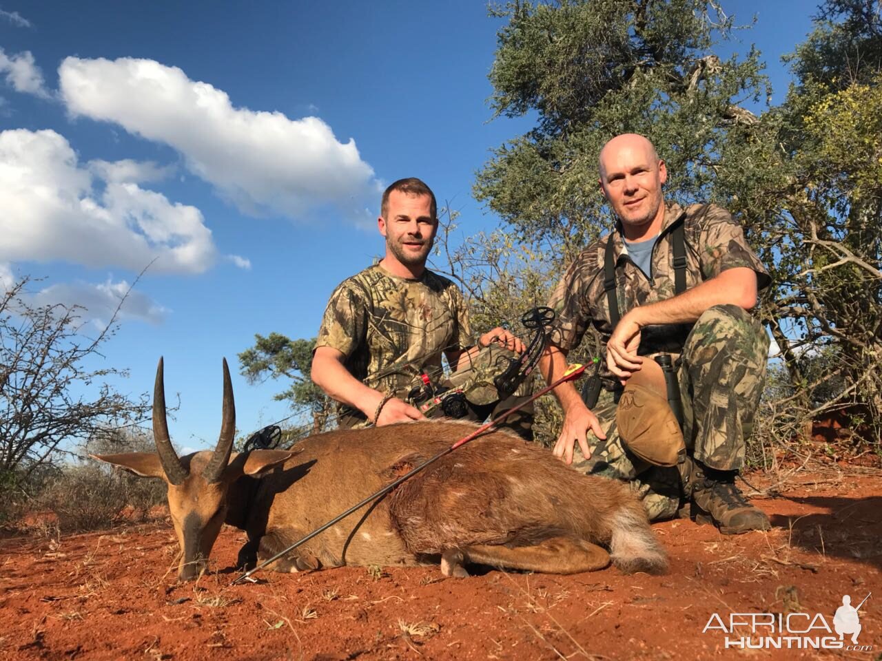 Bow Hunting Bushbuck South Africa