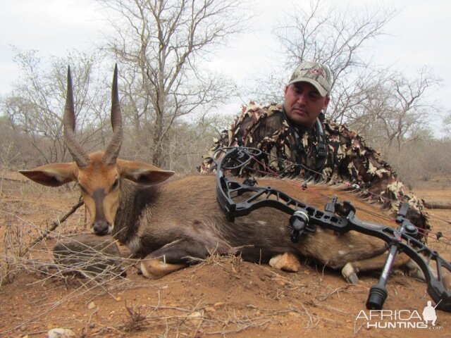 Bow Hunting Bushbuck