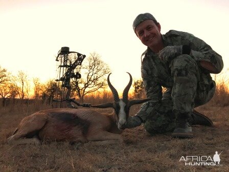 Bow Hunting Copper Springbok South Africa