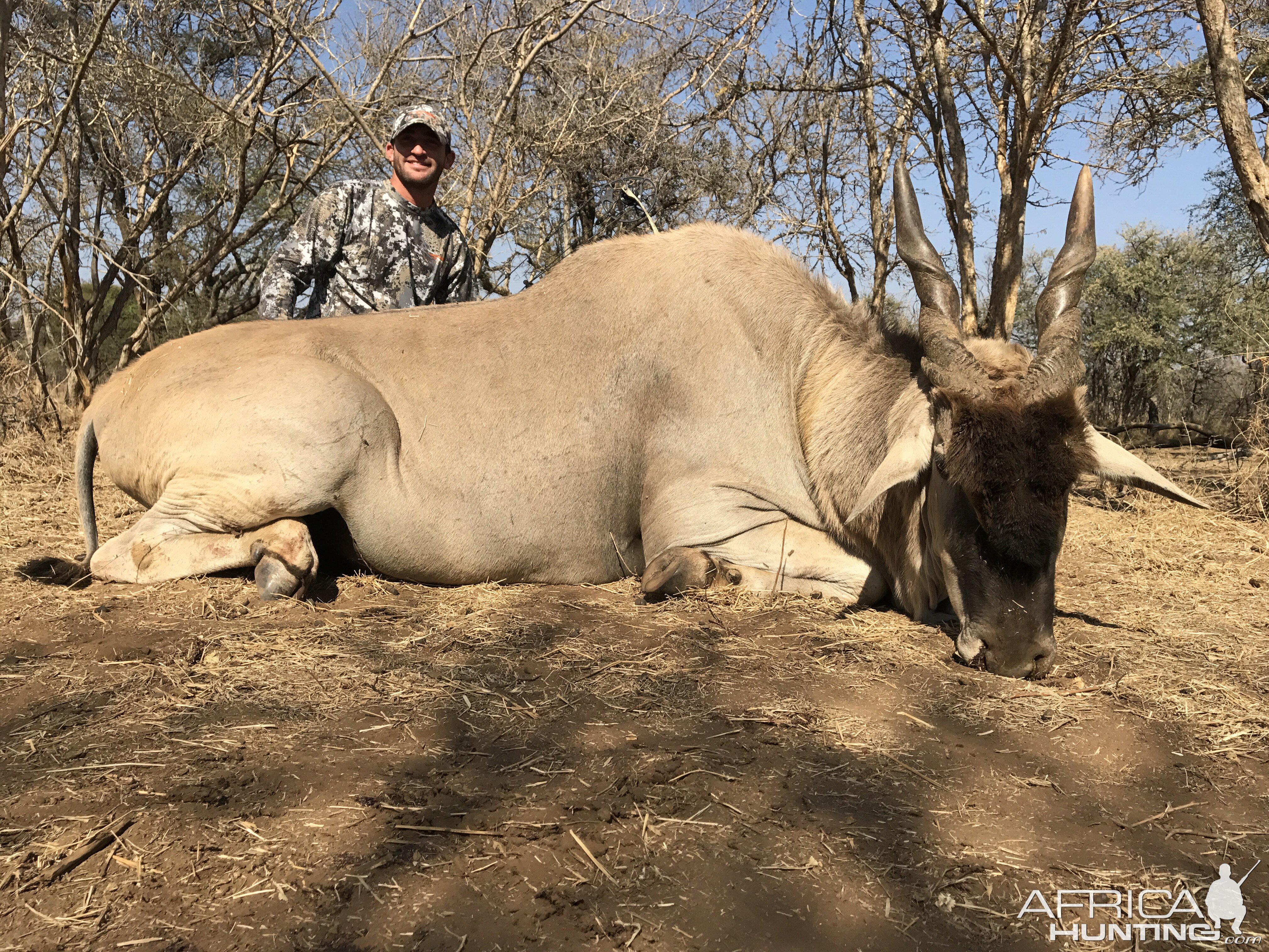 Bow Hunting Eland in South Africa