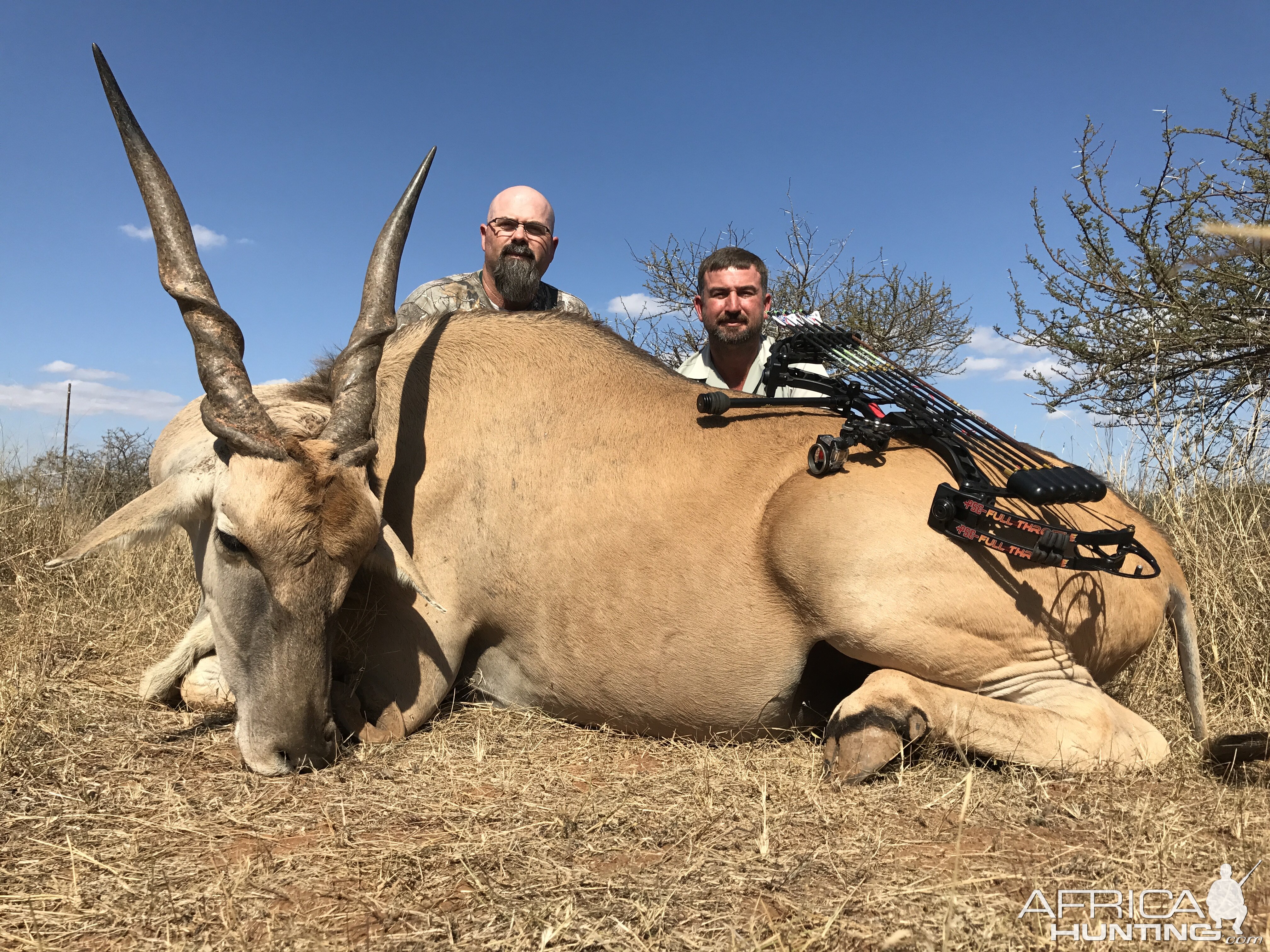 Bow Hunting Eland South Africa