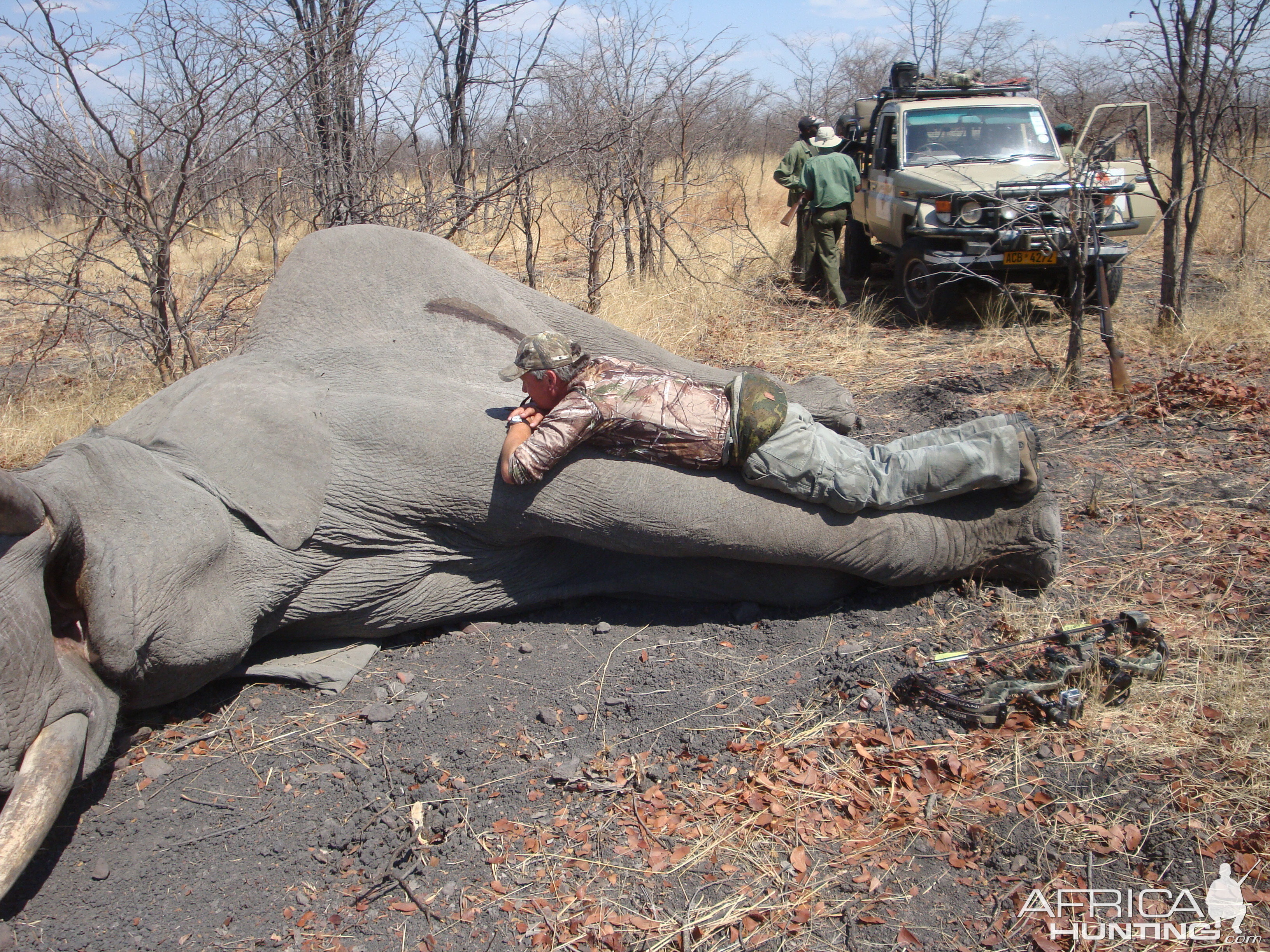 Bow Hunting Elephant