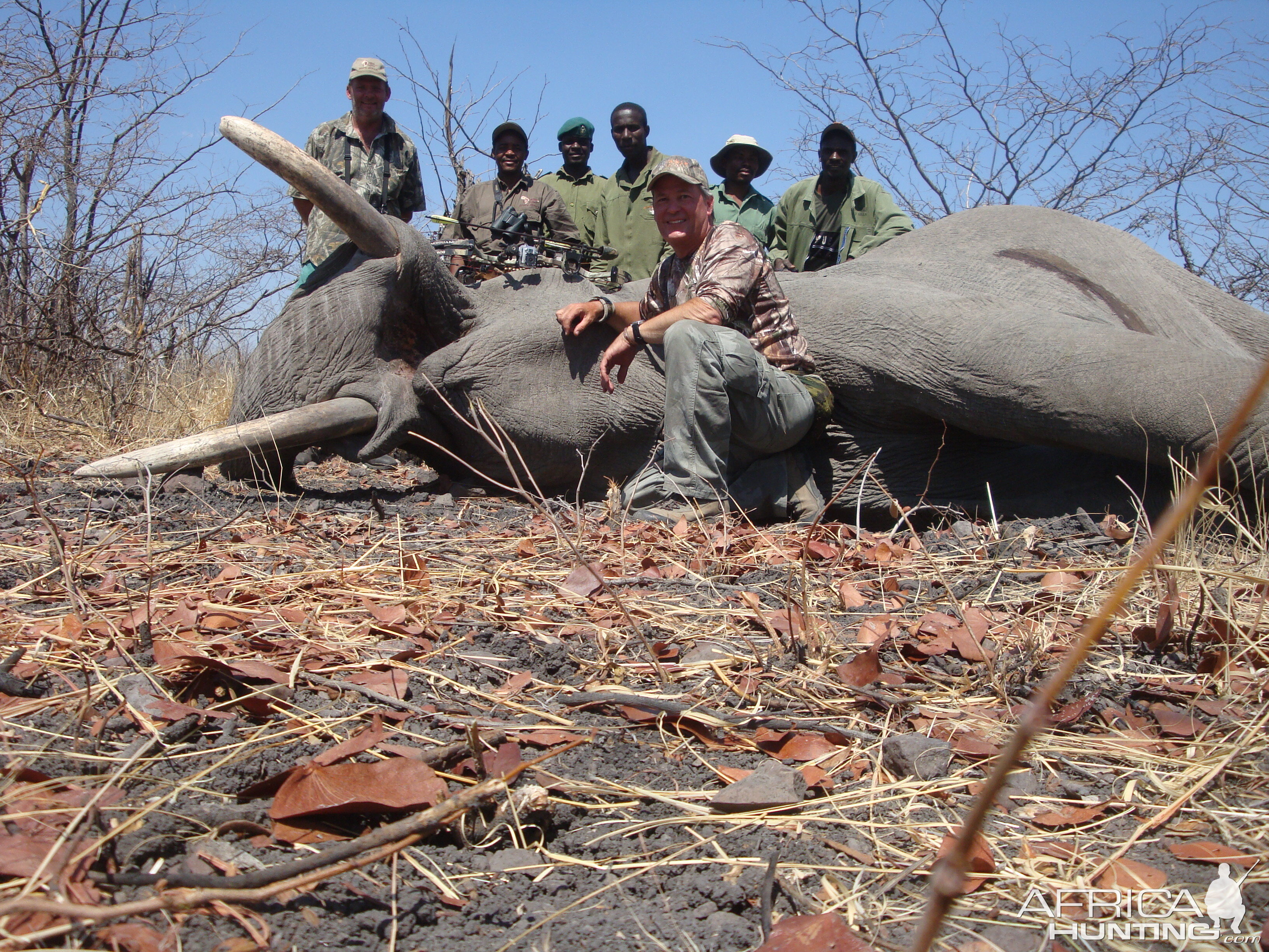 Bow Hunting Elephant