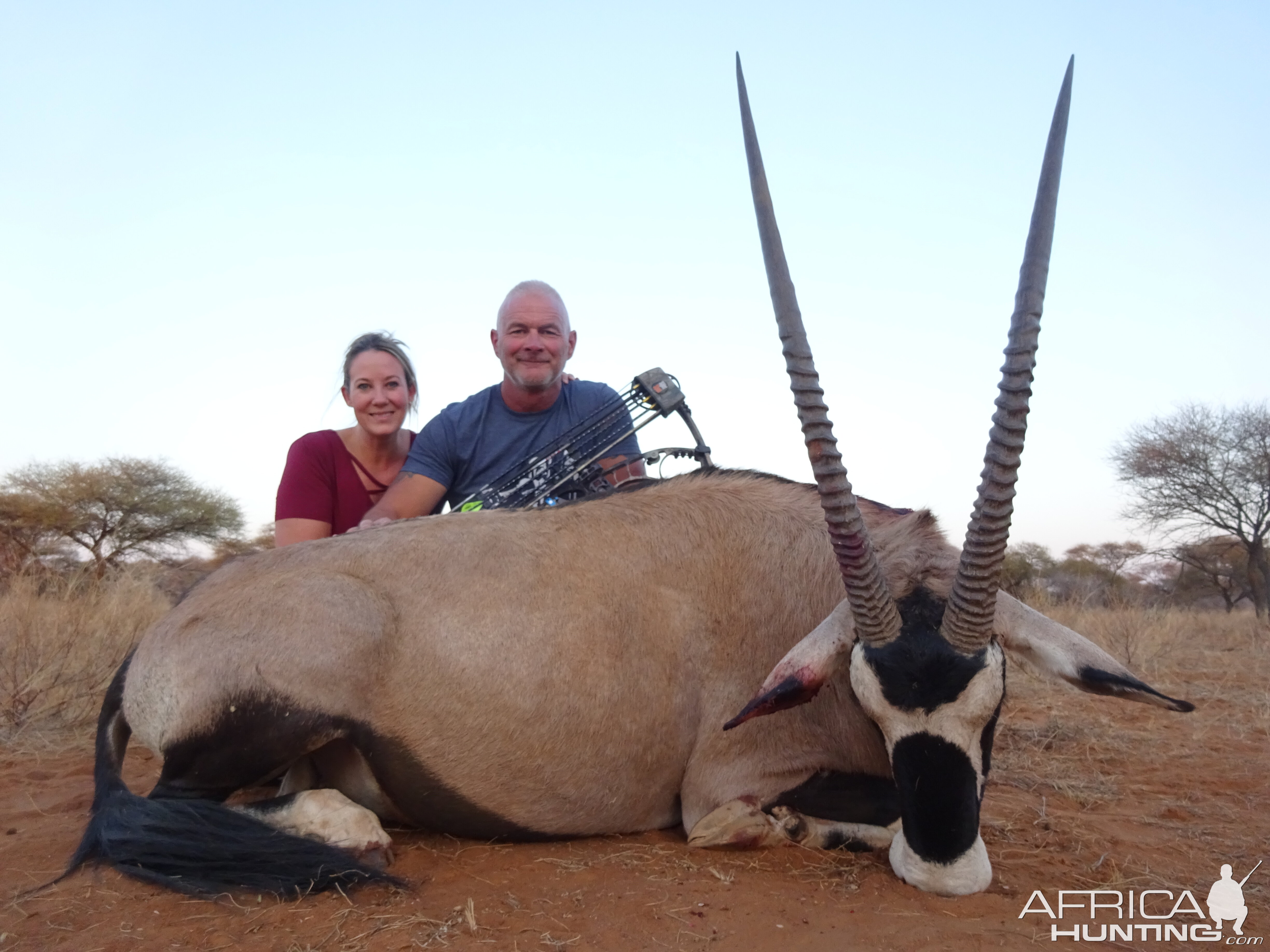 Bow Hunting Gemsbok South Africa