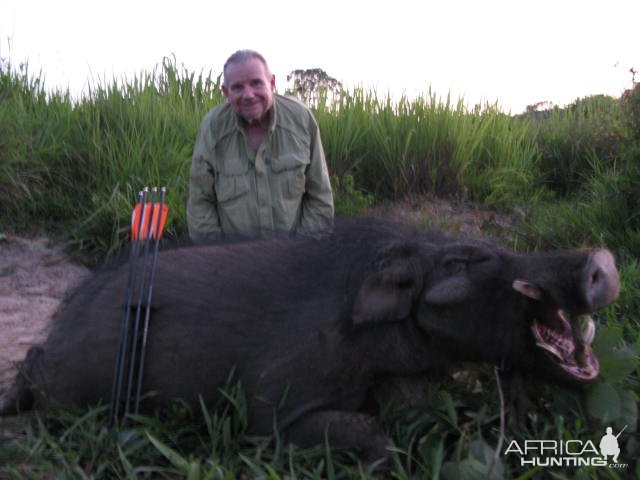 Bow Hunting Giant Forest Hog Central African Republic