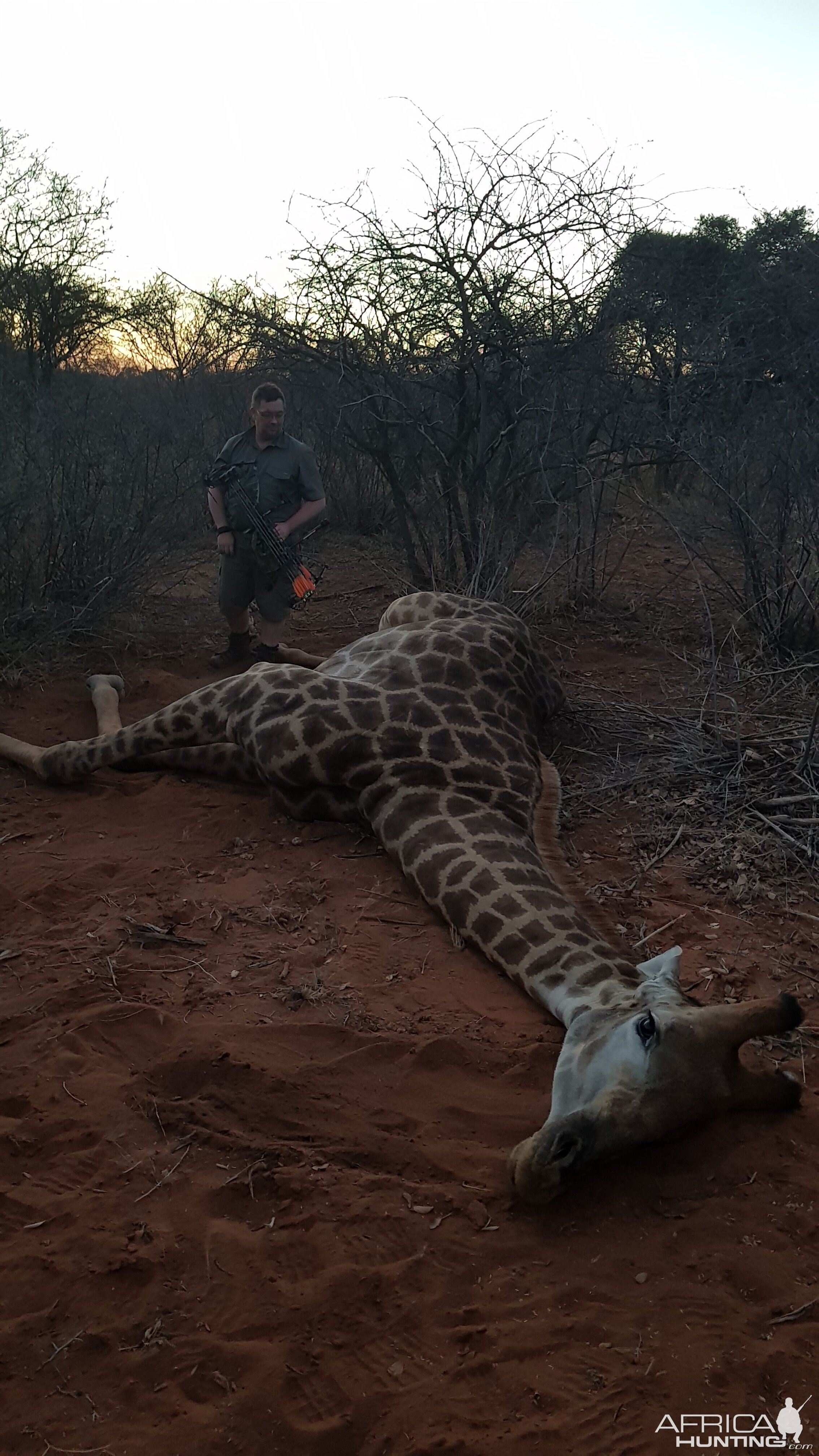 Bow Hunting Giraffe in South Africa