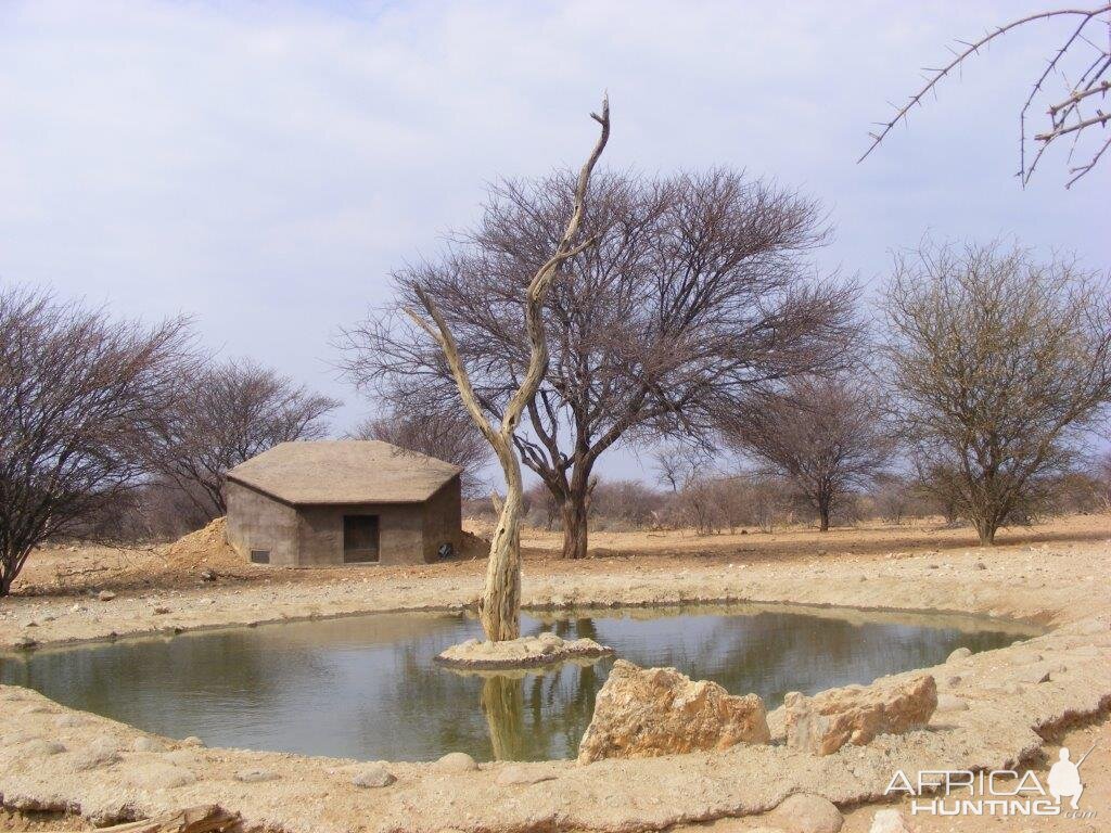 Bow Hunting Hides Namibia