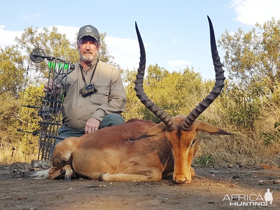 Bow Hunting Impala in South Africa