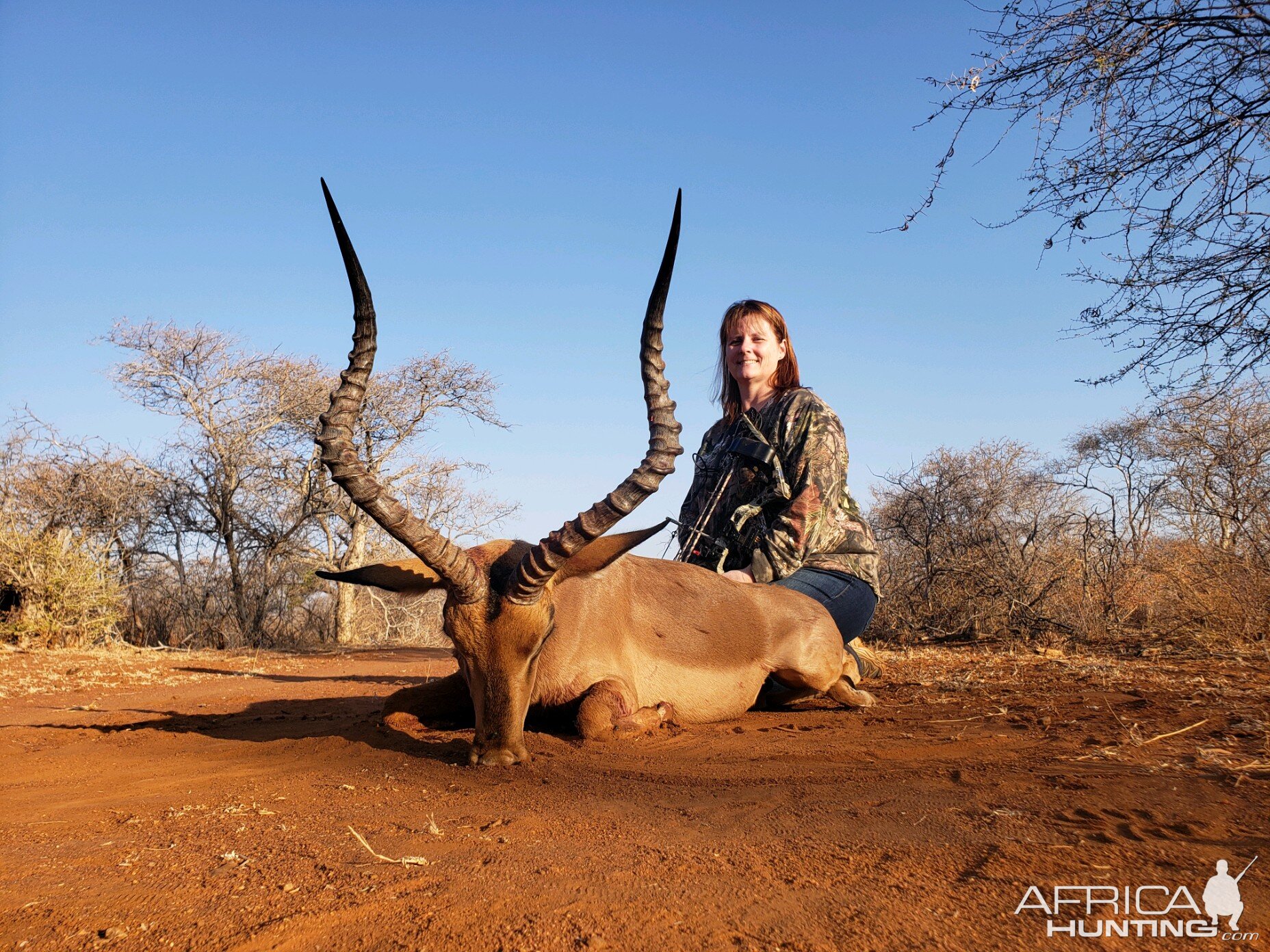 Bow Hunting Impala in South Africa